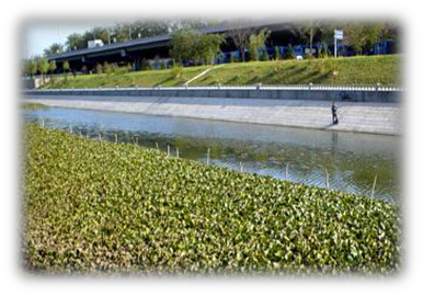 我國水生態環境修復現狀分析解讀(下)- 我國水生態環境修復現狀分析解讀(下)-