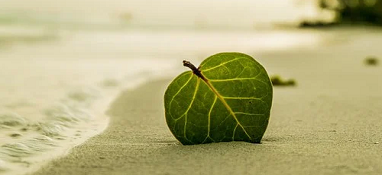 生態環境部：加強“三水”統籌、陸海聯動，深入打好碧水保衛戰！