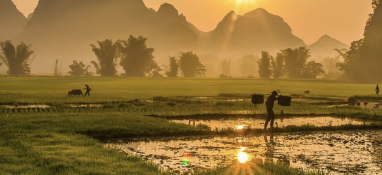 污泥含水率太難降？加點藥劑試試！